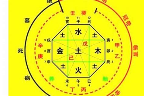 喜用神水的人特色|八字喜用神为水之人的特点